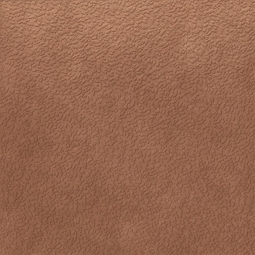 Ape Argillae Nisus Terra 120x120