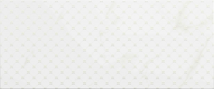 Creto Forza Stravero White 25x60