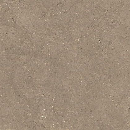 Graniti Fiandre Solida Nut Honed 100x100