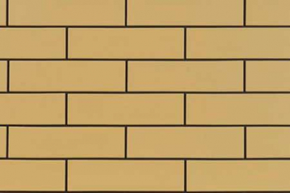 Cerrad Elewacja Gladka Piaskowa 6.5x24.5