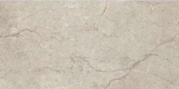 Piemme Ceramiche Stone Concept Argento Nat-Ret 30x60