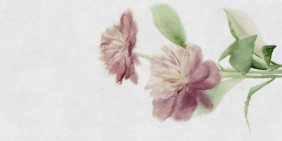 Panaria Zero.3 Glam Colorful A 50x100