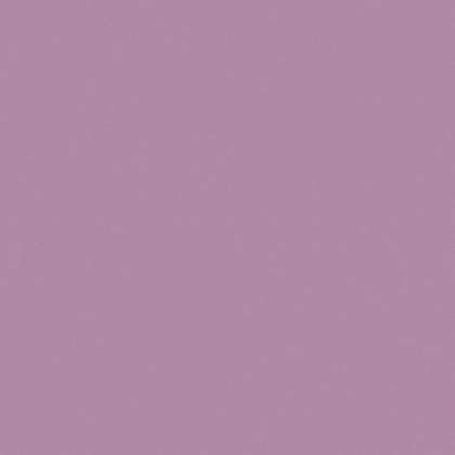 CE.SI Matt Indaco 10x10