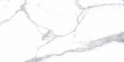 Cerdomus Statuario Bianco 60x120
