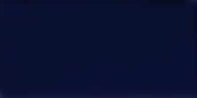 Vives Monocolor Azul Noche 14x28