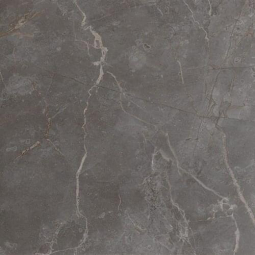 Fap Roma Stone Pietra Grey Satin 80x80