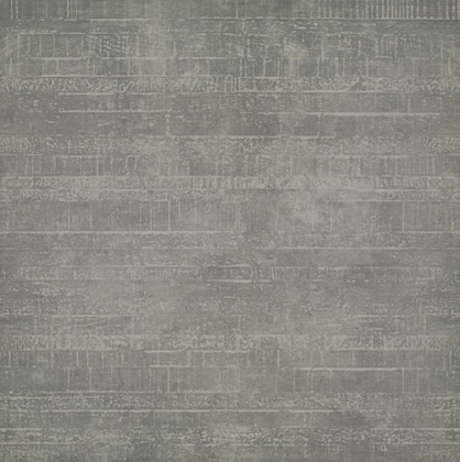 Apavisa Outdoor Grey Natural 59.55x59.55