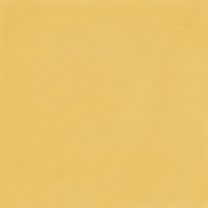 Sant Agostino Vita Giallo Luc 20x20