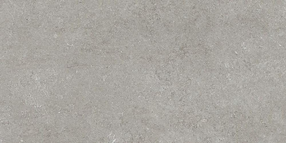 Casa Dolce Casa Sensi Grey Fossil R-Ptv 60x120