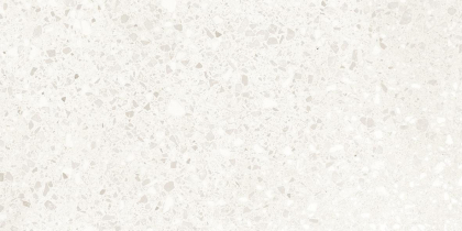 Casalgrande Padana Terrazzo White Lappato 30x60