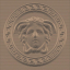 Versace Eterno Medusa Gold 42x42