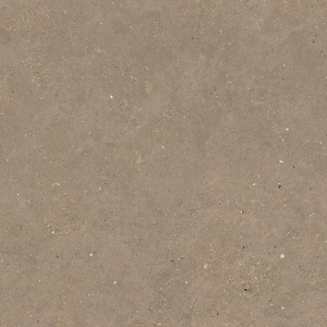 Graniti Fiandre Solida Nut Strutturato 100x100