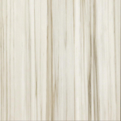 Casalgrande Padana Marmoker Zebrino Lucido 60x60