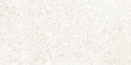 Casalgrande Padana Terrazzo White Lappato 37.5x75.5