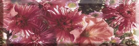 Absolut Keramika Monocolor Biselado Wine 03 A 10x30