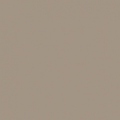 Casalgrande Padana Unicolore Tozzetto Grigio Perla Levigato 9x9