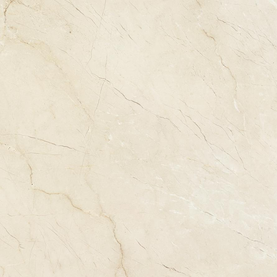 Baldocer Dynasty 60x60