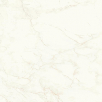 Atlas Concorde Marvel Shine Calacatta Delicato Lappato 120x120