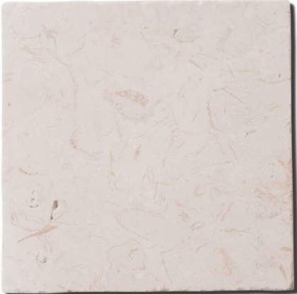 Diffusion Travertin Carreaux Limestone 10x10