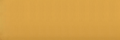 Versace Gold Oro Riga Pvd 25x75