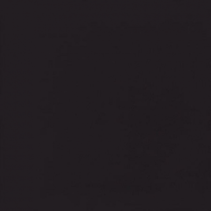 Casalgrande Padana Unicolore Tozzetto Nero Levigato 9x9