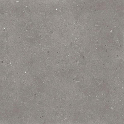 Graniti Fiandre Fjord Grey Honed 60x60