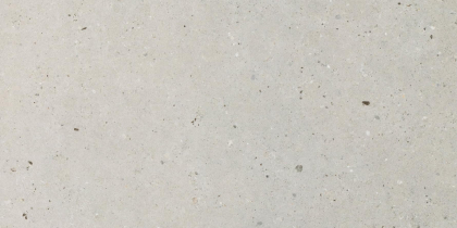 Impronta Italgraniti Silver Grain Grey 60x120