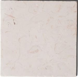 Diffusion Travertin Carreaux Limestone 20x20