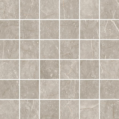 Cerdomus Mexicana Mosaico Silver Levigato 30x30