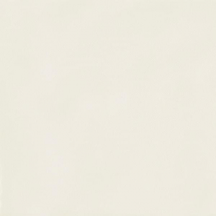 Graniti Fiandre Musa Plus Chalk Honed 60x60