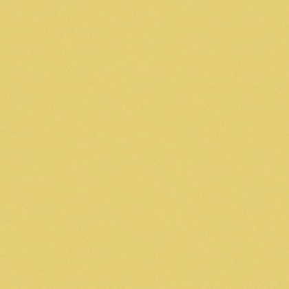 CE.SI Matt Cedro 10x10