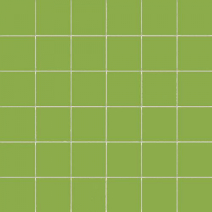 CE.SI Matt Kiwi Su Rete 10x10 30x30