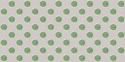 ABK Wide And Style Plus Digital+ Scordar Salvia Oro 120x278