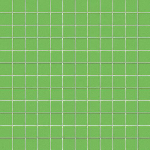 CE.SI Matt Kiwi Su Rete 2.5x2.5 30x30