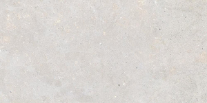 Graniti Fiandre Solida White Prelucidato 60x120