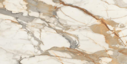 Neodom Massimo Breccia Polished 80x160