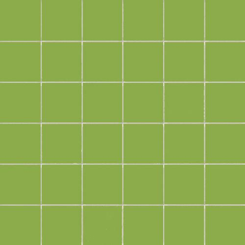 CE.SI Matt Kiwi Su Rete 5x5 30x30