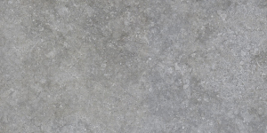 Settecento Shellstone Grey 29.9x60