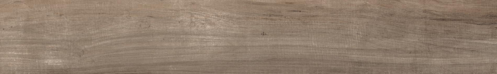 Rondine Aspen Brown 15x100