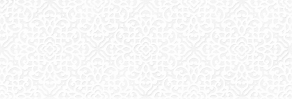 Saloni Eternal Blanco Fenicia 40x120