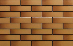 Cerrad Elewacja Szkliwiona Miodowa 6.5x24.5