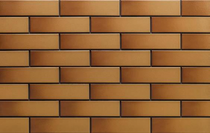 Cerrad Elewacja Szkliwiona Miodowa 6.5x24.5