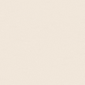 CE.SI Matt Cotone 10x10