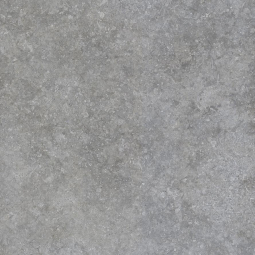 Settecento Shellstone Grey 60x60