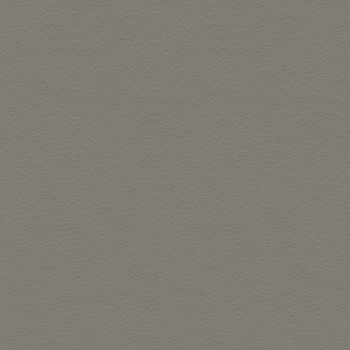 CE.SI Full Body Xeno 5x5