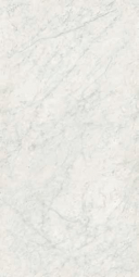 Impronta Italgraniti Lux Experience Statuarietto Fade Sq 60x120