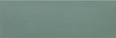 TopCer Базовая Плитка Dark Green 10x30