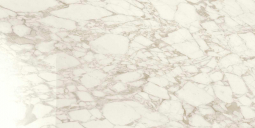 Ragno Maiora-Marble Effect Arabescato Glossy Rettificato 120x240