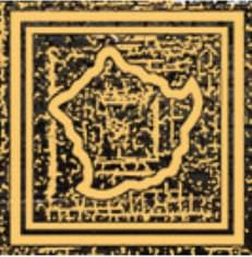 Versace Eterno Tozetto Medusa Oro Carbon 2.7x2.7