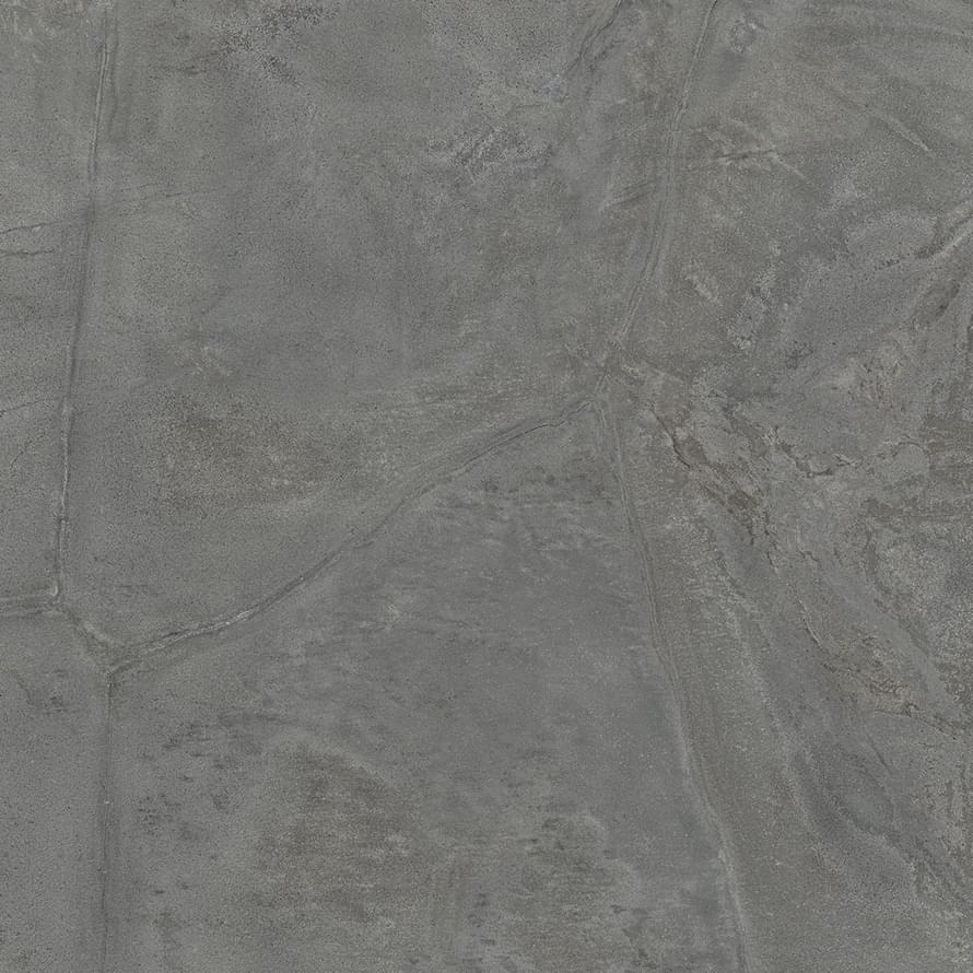 Ava Tortoise Naturale Rettificato 80x80